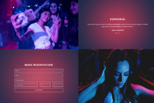 Buzz Club - Night Club, DJ & Music WordPress Theme - Image 3
